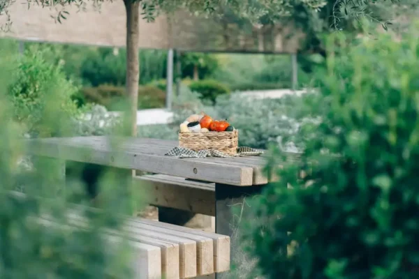 V Piknik Ekologiczny w Zduńskiej Woli – lokalnie i ekologicznie