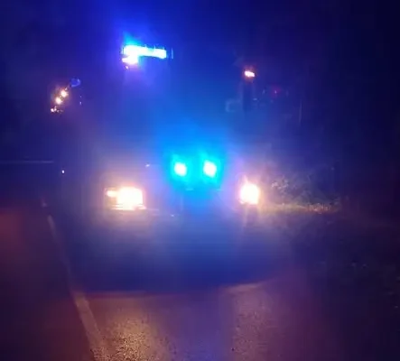 OSP Zapolice interweniuje w Marcelowie: drzewo na ścieżce rowerowej