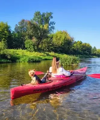 Ostatni wakacyjny spływ kajakowy na Warcie za nami