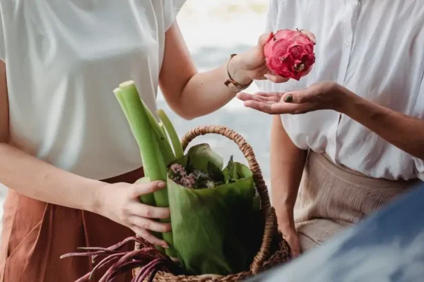 V Piknik Ekologiczny w Zduńskiej Woli: lokalnie i eko