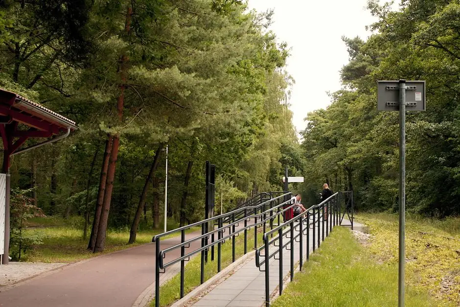 Zduńska Wola stworzy ogród terapeutyczny – hortiterapia dla mieszkańców