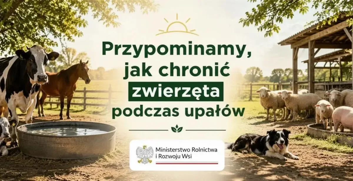 Upały: Powiatowy Lekarz Weterynarii w Łasku radzi, jak dbać o zwierzęta w czasie wysokich temperatur