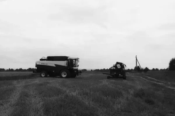 Tragedia pod Nieborowem: 11-latek na hulajnodze zginął po zderzeniu z kombajnem