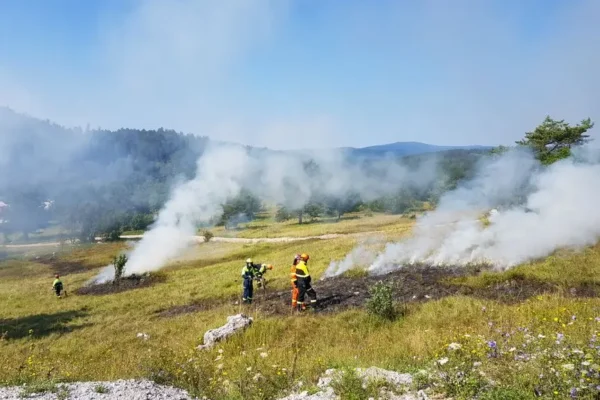 Pożar lasu w Ogrodzisku – interwencja strażaków z OSP i JRG Zduńska Wola