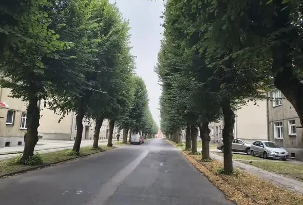 Nowy chodnik na ulicy Grunwaldzkiej w Zduńskiej Woli – rusza przebudowa