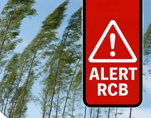 Alert RCB – jak działa i jak na niego reagować? Praktyczny przewodnik