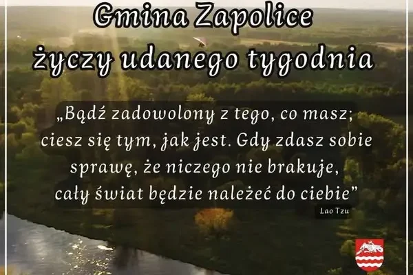 Gmina Zapolice finansuje sterylizację, kastrację i chipowanie zwierząt