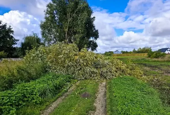 Interwencja OSP Szadek przy ul. Kościelnej – zdarzenie MZ 71/2026