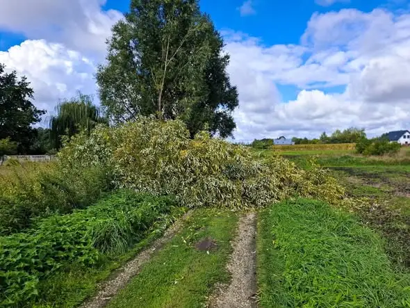Interwencja OSP Szadek przy ul. Kościelnej – zdarzenie MZ 71/2026