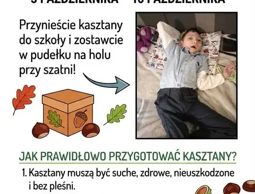 Szkoła w Zduńskiej Woli zbiera kasztany dla Krzysia – akcja trwa do 16 października