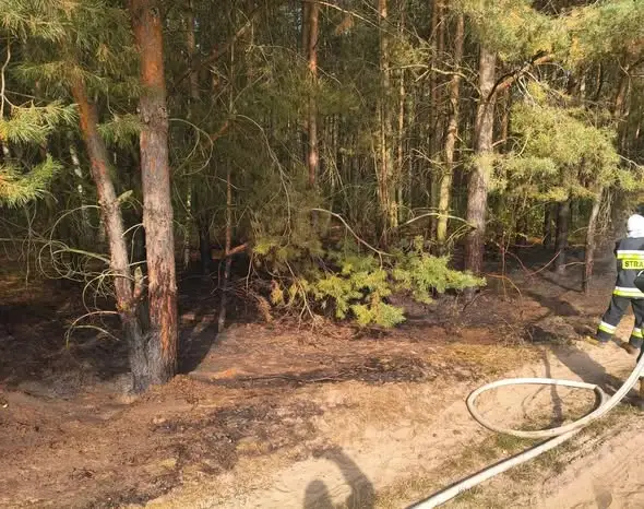 Pożar w Piaskach — interweniowały OSP Zapolice i OSP Beleń