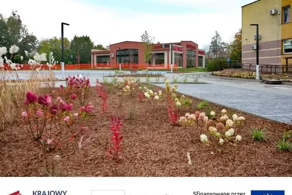 Zduńska Wola zazielenia centrum – nowe krzewy, byliny i miejsca odpoczynku przy Ogrodowej i Placu Wolności